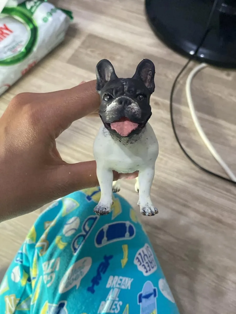 Gerçekçi boyanmış Fransız bulldog evcil hayvan figürü